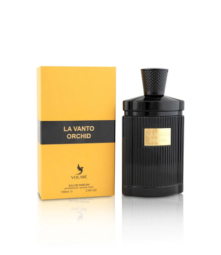 Volare La Vento Orchid